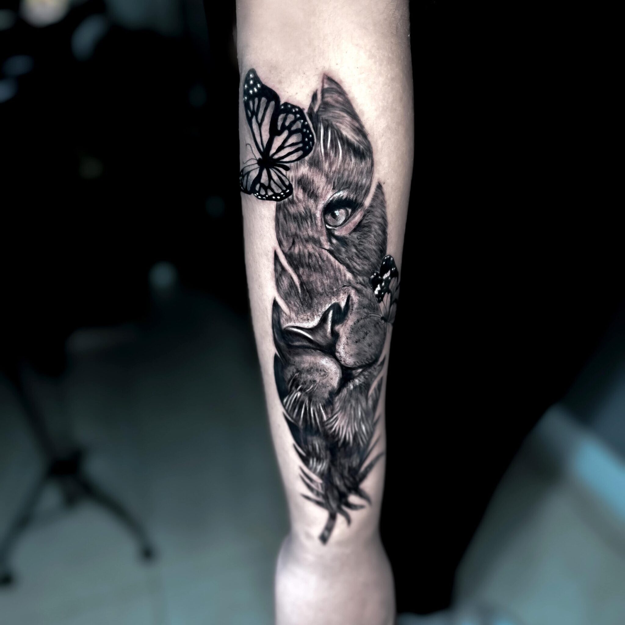 Tattoo Adelaide 5